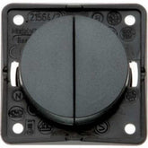 Berker Double 12V Switch - 15798